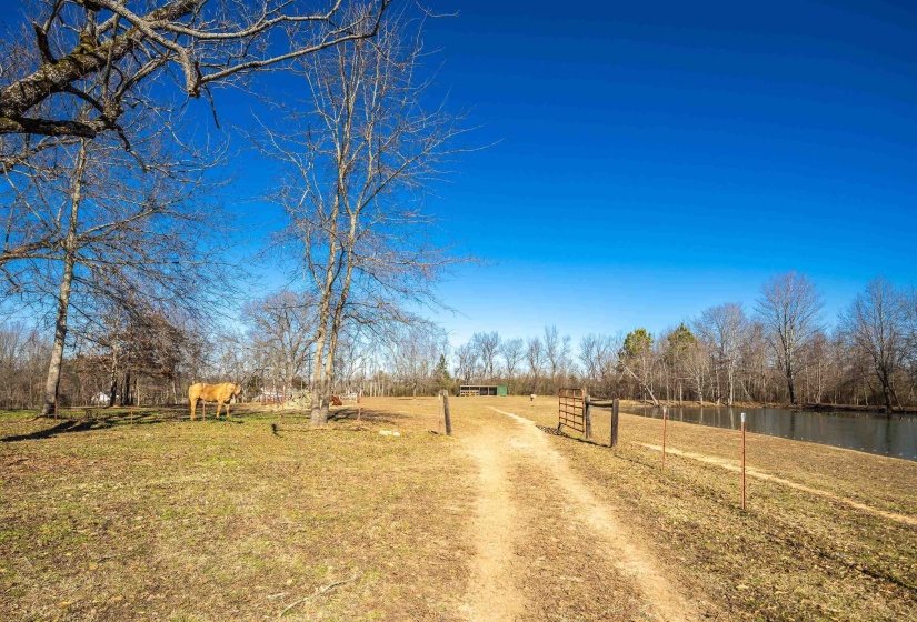 600 HOTEL ST, Williston, Tennessee 38076, 3 Bedrooms Bedrooms, 7 Rooms Rooms,1 BathroomBathrooms,Residential,For Sale,HOTEL,10213828