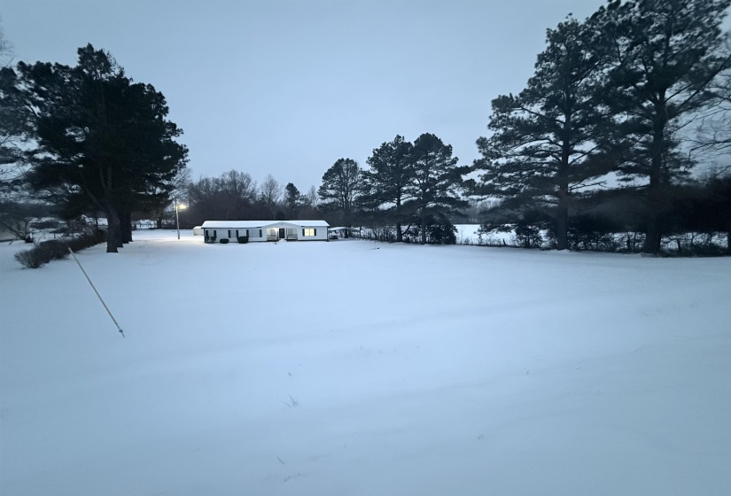 Yard layered in snow with view of wooded area
