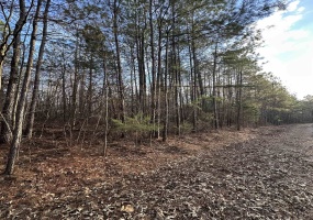DELL ARBOR CIR, Ramer, Tennessee 38367-9998, ,Land,For Sale,DELL ARBOR,10213854