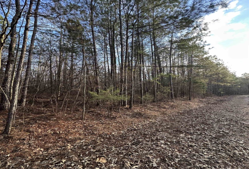 DELL ARBOR CIR, Ramer, Tennessee 38367-9998, ,Land,For Sale,DELL ARBOR,10213854