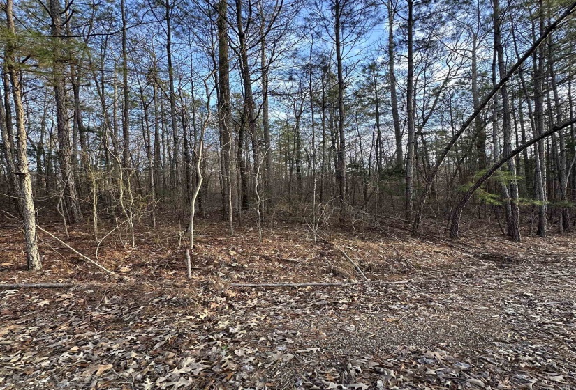 DELL ARBOR CIR, Ramer, Tennessee 38367-9998, ,Land,For Sale,DELL ARBOR,10213854