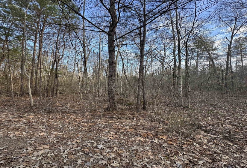 DELL ARBOR CIR, Ramer, Tennessee 38367-9998, ,Land,For Sale,DELL ARBOR,10213854