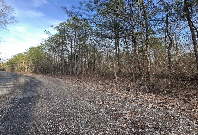 DELL ARBOR CIR, Ramer, Tennessee 38367-9998, ,Land,For Sale,DELL ARBOR,10213854