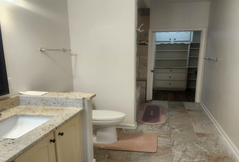 Full bath featuring vanity and a walk in closet