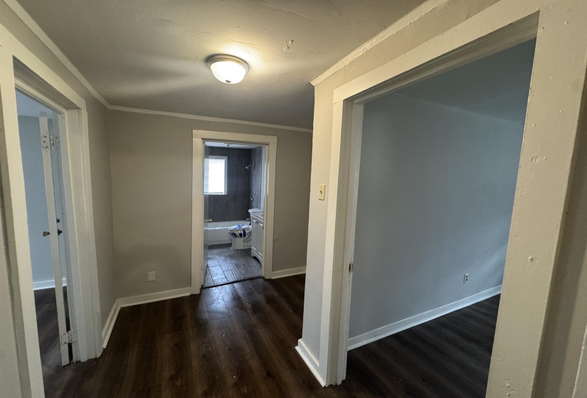 Corridor with dark wood-style floors and crown molding