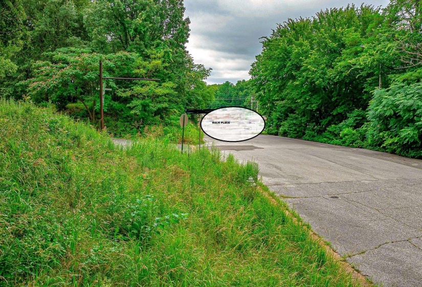 1107 WALK PL DR, Memphis, Tennessee 38106, 0 , 0 ,0,Land,For Sale,WALK PL,0,10213928