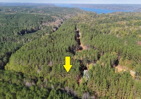 LOT 32 WOODLANDS OF RIVERTRACE RD, Iuka, Mississippi 38852, ,Land,For Sale,WOODLANDS OF RIVERTRACE,10213943 LOT 32 WOODLANDS OF RIVERTRACE RD, Iuka, Mississippi 38852, ,Land,For Sale,WOODLANDS OF RIVERTRACE,10213943