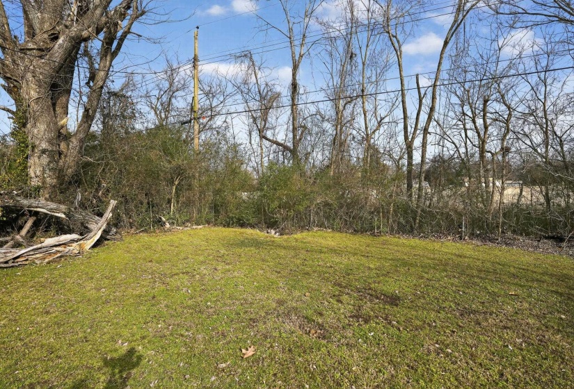 View of green lawn