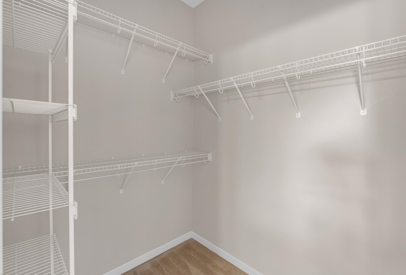 Spacious closet featuring light carpet