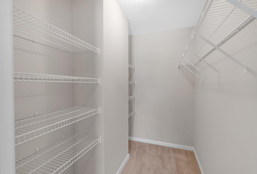 Walk in closet with light colored carpet