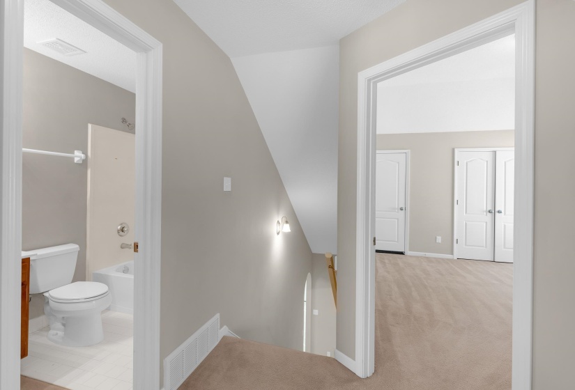 Stairs featuring baseboards and carpet