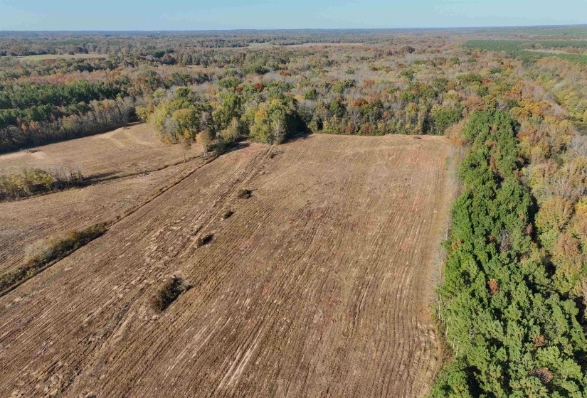 1761 CR-126 RD, Walnut, Mississippi 38683, ,Land,For Sale,CR-126,10214002