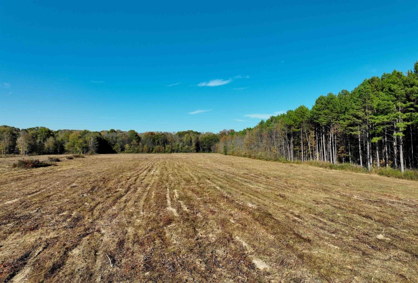 1761 CR-126 RD, Walnut, Mississippi 38683, ,Land,For Sale,CR-126,10214002