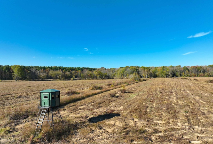 1761 CR-126 RD, Walnut, Mississippi 38683, ,Land,For Sale,CR-126,10214002