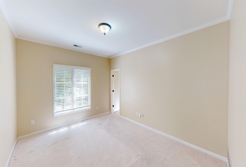 Empty room with crown molding and carpet