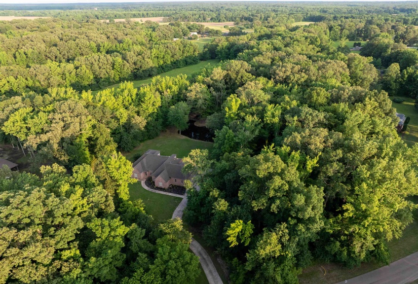 580 HICKORY LAKE RD, Eads, Tennessee 38028, 4 Bedroom Bedrooms, 9 Room Rooms,4.1 BathroomBathrooms,Residential,For Sale,HICKORY LAKE,0,10211132