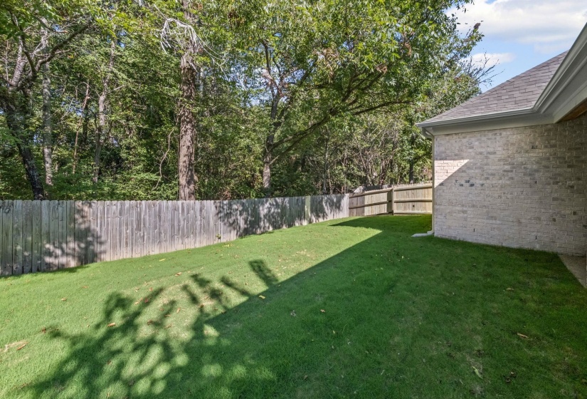View of fenced backyard