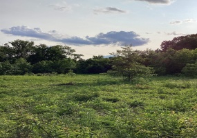 0 ROLLING OAKS DR, Munford, Tennessee 38058, ,Land,For Sale,ROLLING OAKS,10197870