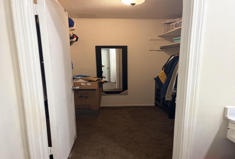 Spacious closet with carpet flooring