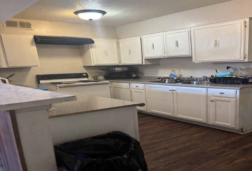 Kitchen featuring white electric range oven, under cabinet range hood, a sink, dark wood-type flooring, and black microwave