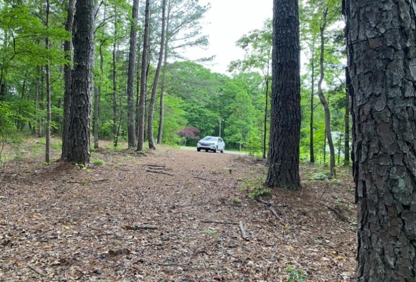 330 LICK CREEK RD, Michie, Tennessee 38357, 0 , 0 ,0,Land,For Sale,LICK CREEK,0,10196014