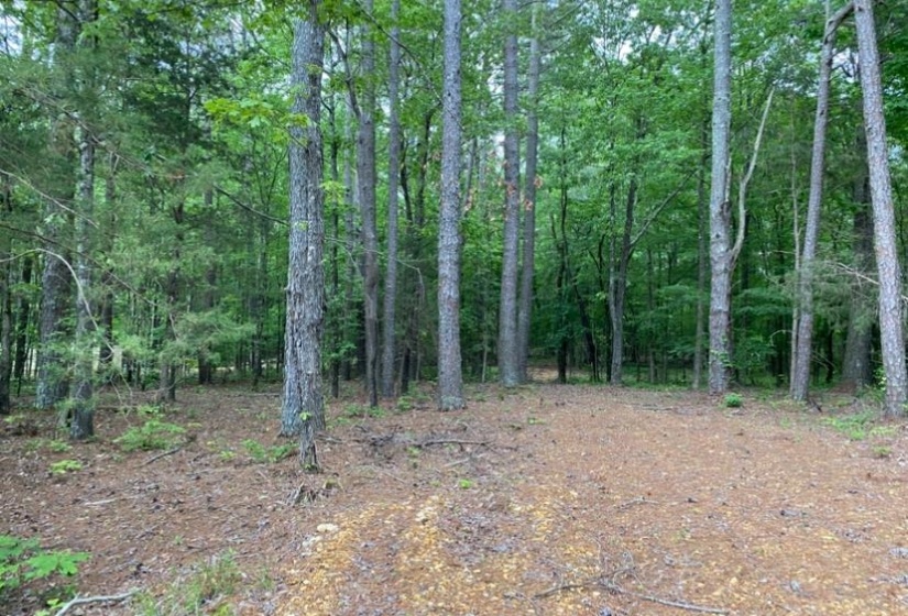 330 LICK CREEK RD, Michie, Tennessee 38357, 0 , 0 ,0,Land,For Sale,LICK CREEK,0,10196014