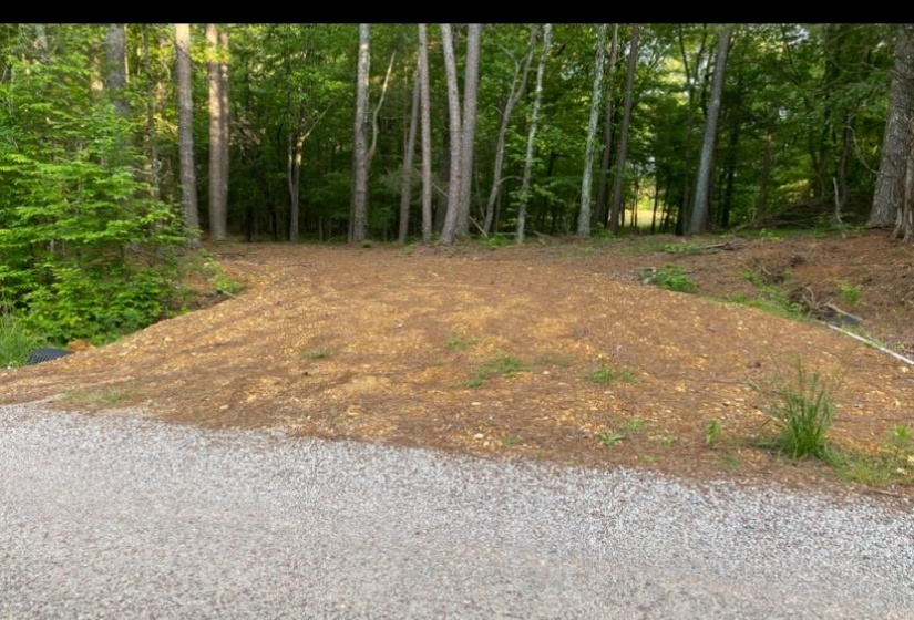330 LICK CREEK RD, Michie, Tennessee 38357, 0 , 0 ,0,Land,For Sale,LICK CREEK,0,10196014
