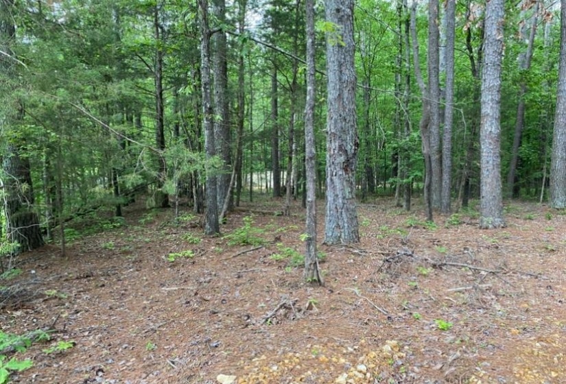 330 LICK CREEK RD, Michie, Tennessee 38357, 0 , 0 ,0,Land,For Sale,LICK CREEK,0,10196014