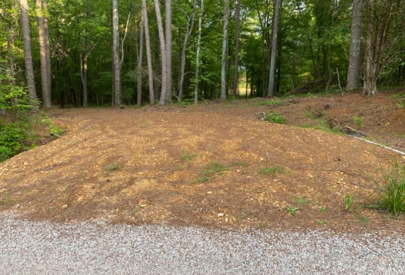 330 LICK CREEK RD, Michie, Tennessee 38357, 0 , 0 ,0,Land,For Sale,LICK CREEK,0,10196014