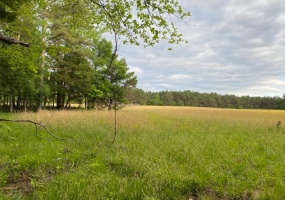 330 LICK CREEK RD, Michie, Tennessee 38357, 0 , 0 ,0,Land,For Sale,LICK CREEK,0,10196014