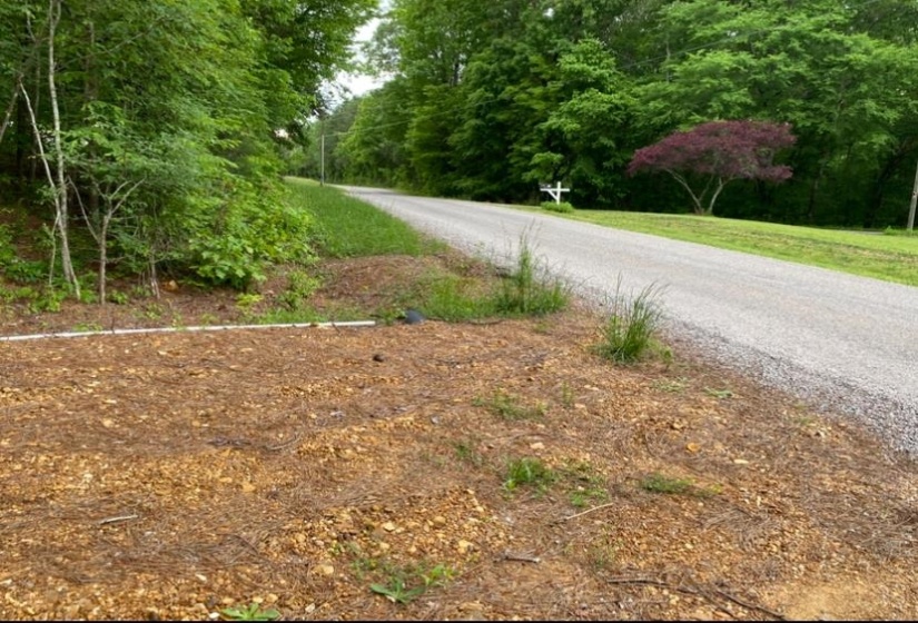 330 LICK CREEK RD, Michie, Tennessee 38357, 0 , 0 ,0,Land,For Sale,LICK CREEK,0,10196014