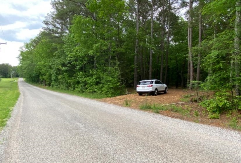 330 LICK CREEK RD, Michie, Tennessee 38357, 0 , 0 ,0,Land,For Sale,LICK CREEK,0,10196014
