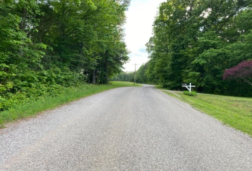 330 LICK CREEK RD, Michie, Tennessee 38357, 0 , 0 ,0,Land,For Sale,LICK CREEK,0,10196014