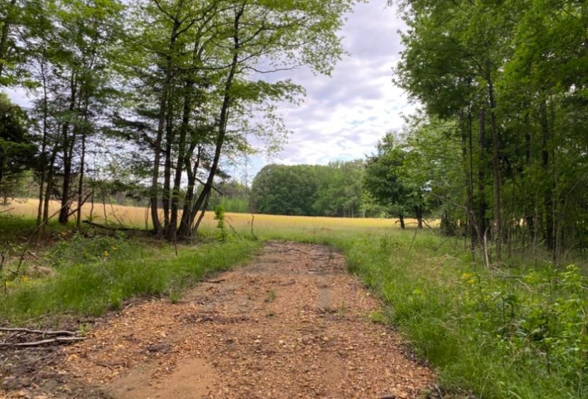 330 LICK CREEK RD, Michie, Tennessee 38357, 0 , 0 ,0,Land,For Sale,LICK CREEK,0,10196014