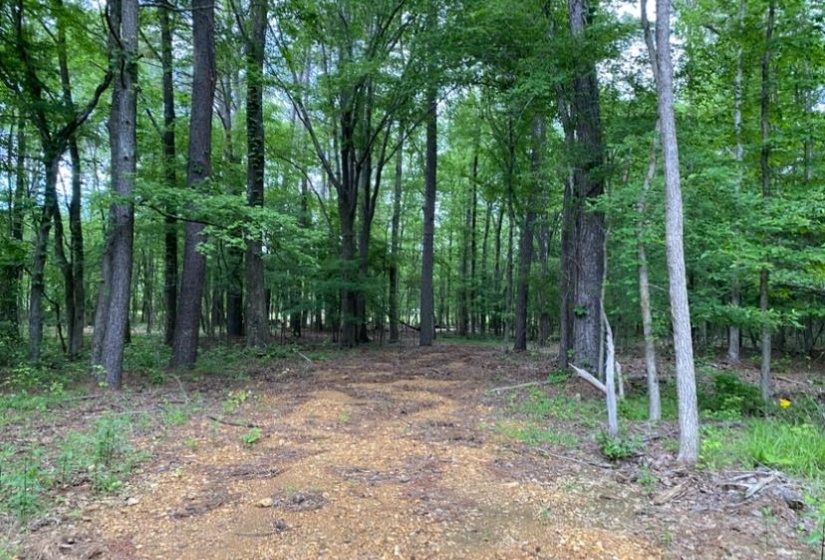 330 LICK CREEK RD, Michie, Tennessee 38357, 0 , 0 ,0,Land,For Sale,LICK CREEK,0,10196014