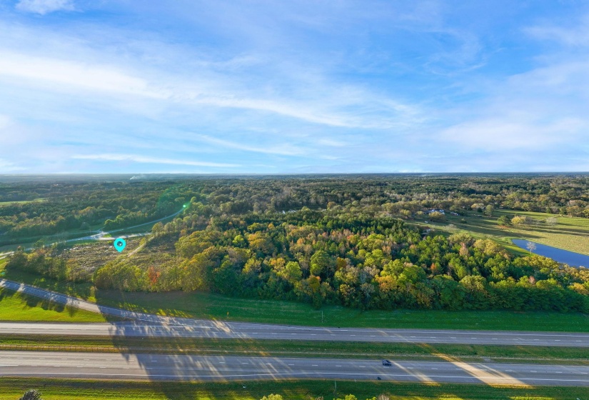 Bird's eye view of a forest