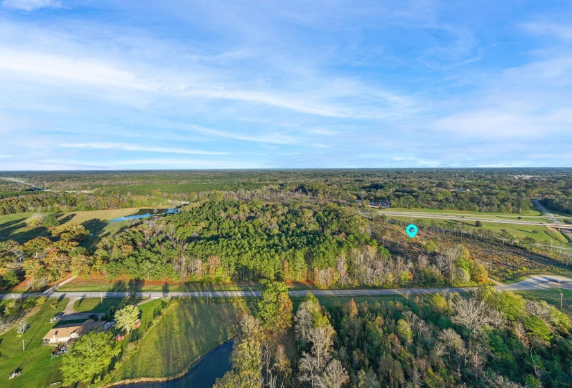 Bird's eye view of a forest and a large body of water