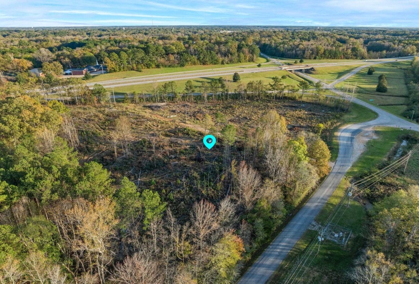 Aerial view of a forest