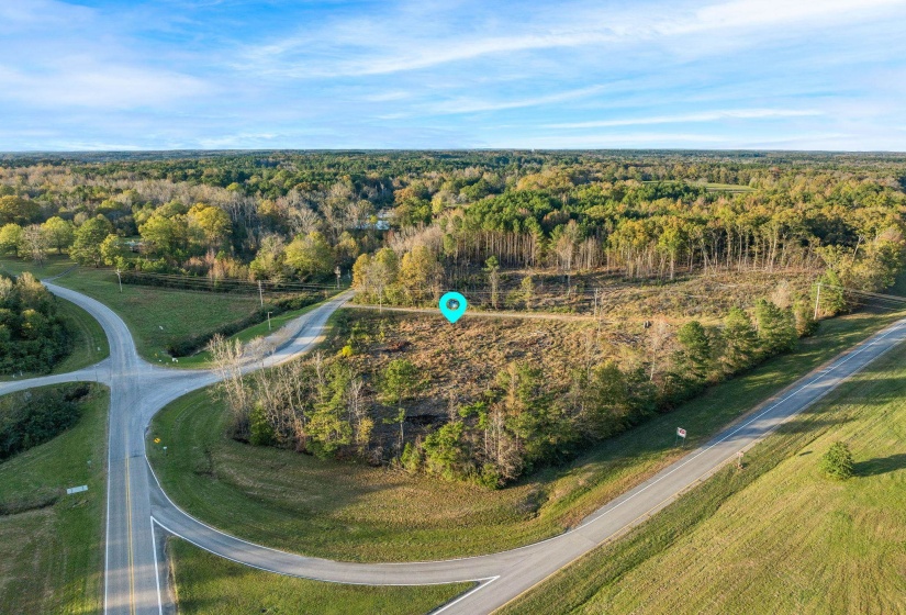Bird's eye view of a heavily wooded area
