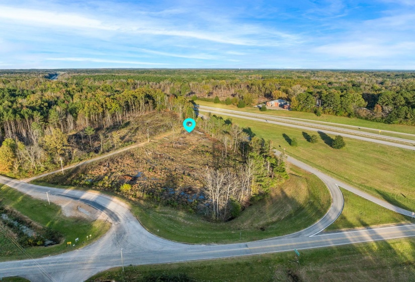 Drone / aerial view of a forest