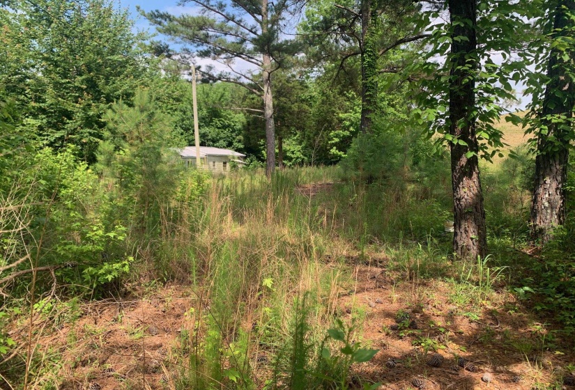 CANDY LN, Stantonville, Tennessee 38379, ,Land,For Sale,CANDY,10199196