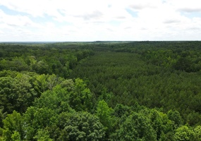 CANDY LN, Stantonville, Tennessee 38379, ,Land,For Sale,CANDY,10199196 CANDY LN, Stantonville, Tennessee 38379, ,Land,For Sale,CANDY,10199196