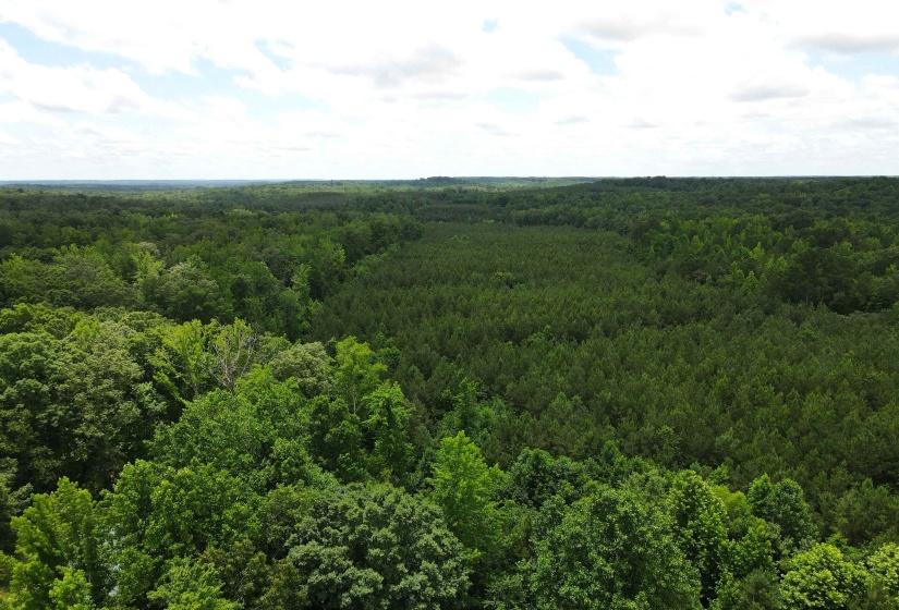 CANDY LN, Stantonville, Tennessee 38379, ,Land,For Sale,CANDY,10199196