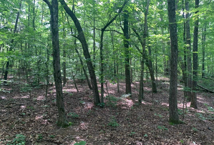 CANDY LN, Stantonville, Tennessee 38379, ,Land,For Sale,CANDY,10199196