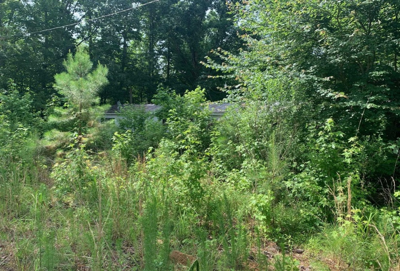 CANDY LN, Stantonville, Tennessee 38379, ,Land,For Sale,CANDY,10199196