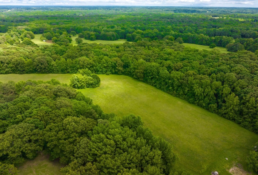 25 ACRES DOGWOOD RD, Somerville, Tennessee 38068-5672, ,Land,For Sale,DOGWOOD,10216179