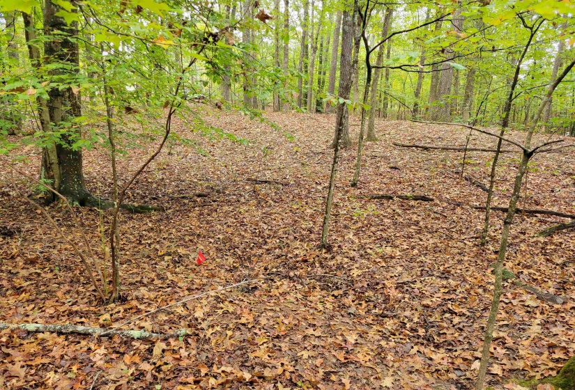 0 SEWELL RD, Selmer, Tennessee 38375, 0 , 0 ,0,Land,For Sale,SEWELL,0,10207148
