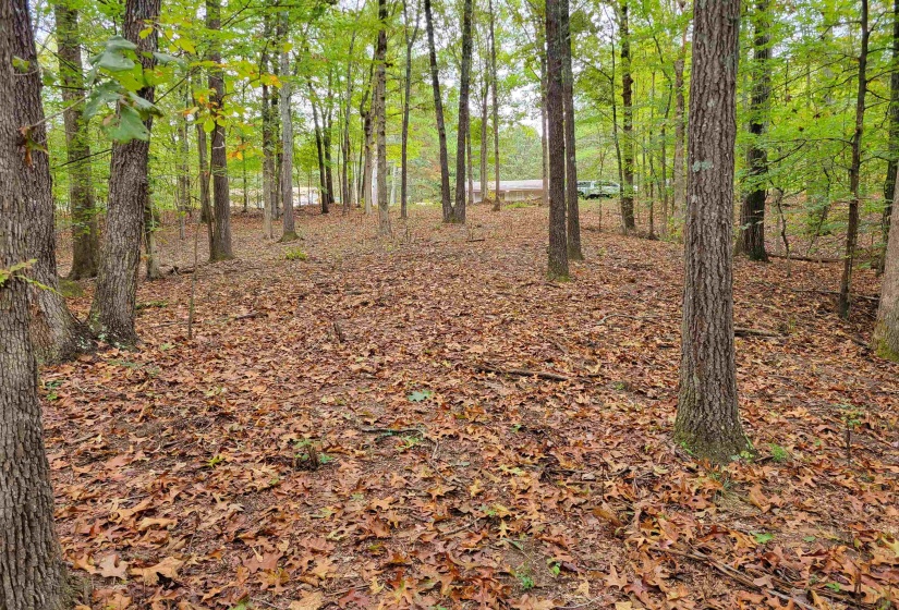 0 SEWELL RD, Selmer, Tennessee 38375, 0 , 0 ,0,Land,For Sale,SEWELL,0,10207148
