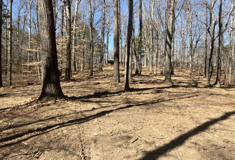 0 SEWELL RD, Selmer, Tennessee 38375, 0 , 0 ,0,Land,For Sale,SEWELL,0,10207148
