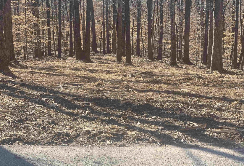 0 SEWELL RD, Selmer, Tennessee 38375, 0 , 0 ,0,Land,For Sale,SEWELL,0,10207148